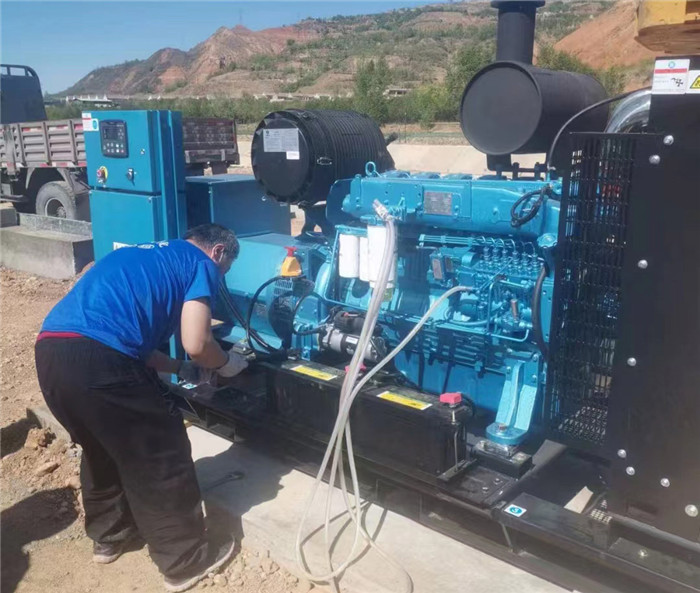 濰(wei)柴電子原(yuan)裝機組WPG275/B8