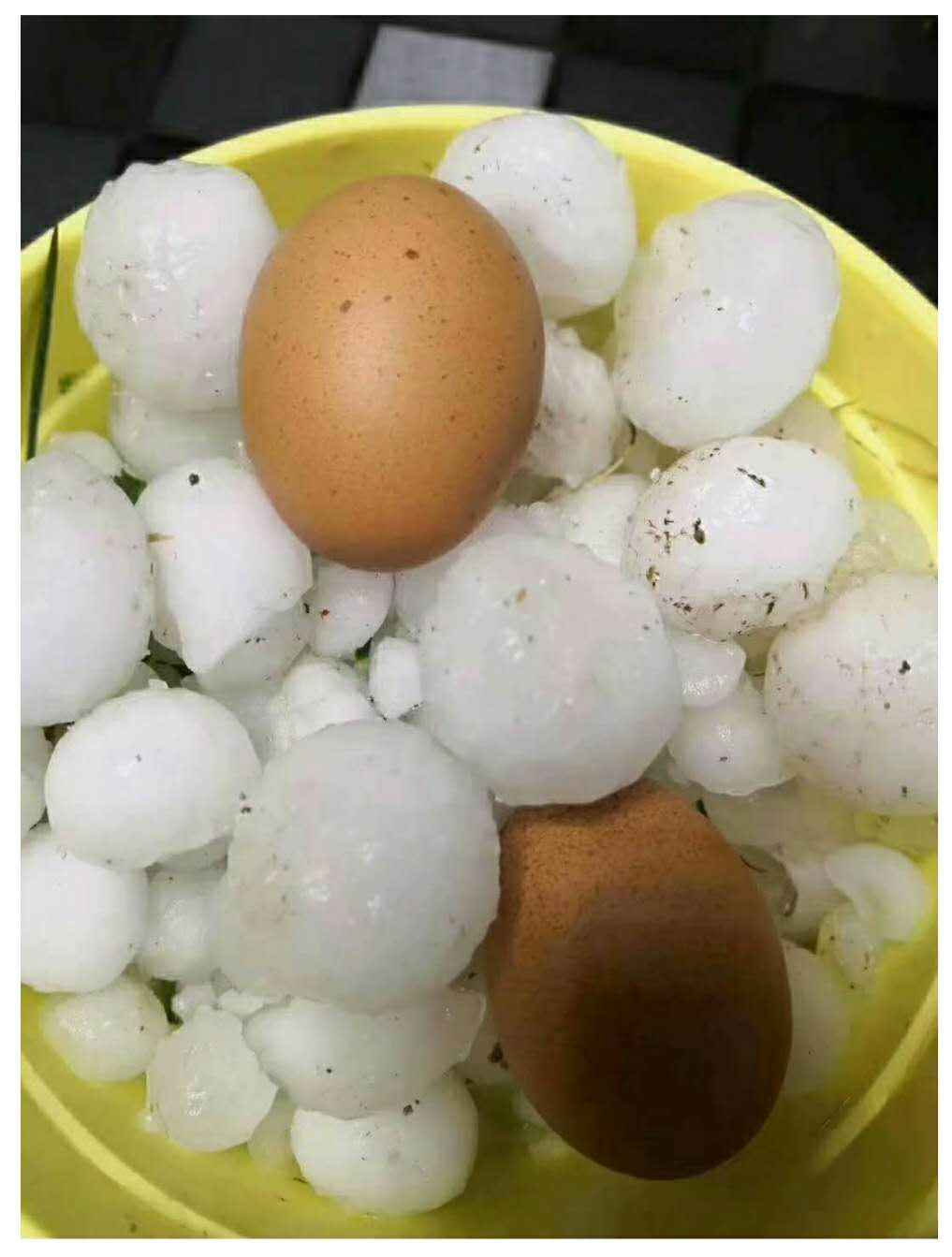 甘肅(sù)發生冰(bīng)雹災害(hài) 甘(gan)肅發生(shēng)冰雹災(zāi)害