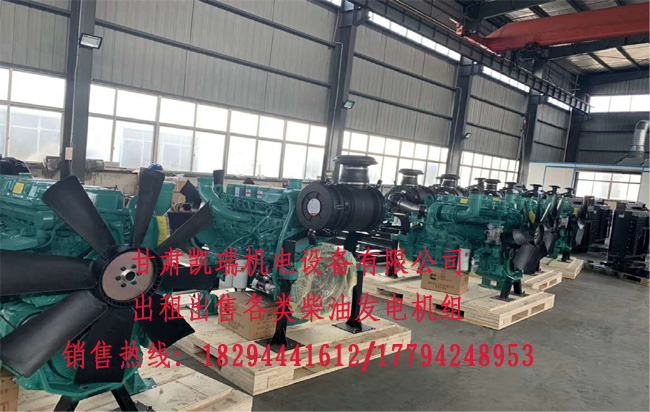 蘭州發(fā)電機組廠(chang)家 蘭州發(fa)電機組廠(chang)家